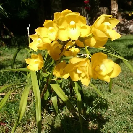 Casa La Moringa 2*
