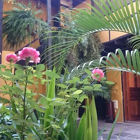 Casa La Moringa