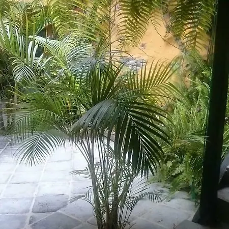 Casa La Moringa
