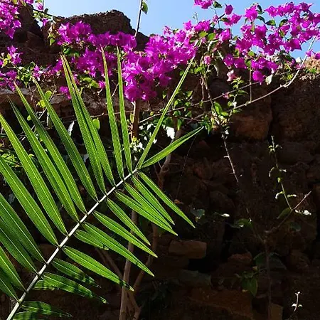 Casa La Moringa Bed and breakfast 2*